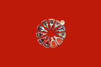 通化县回收红酒